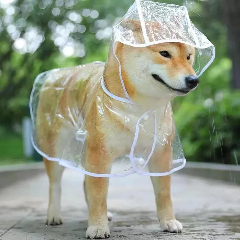 Wasserdichter Hunde Regenmantel mit Kapuze – Transparente PVC Jacke für kleine Hunde und Welpen in verschiedenen Größen 1