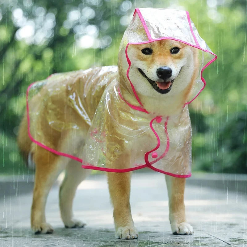 Wasserdichter Hunde Regenmantel mit Kapuze – Transparente PVC Jacke für kleine Hunde und Welpen in verschiedenen Größen 9